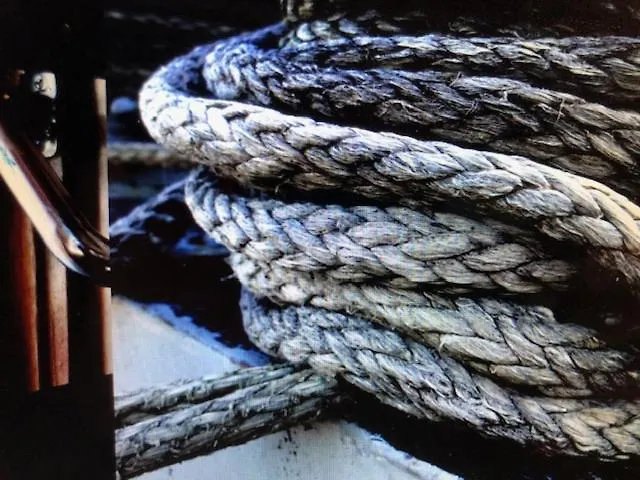 Schiff Ahoy, Hotelschiff, Hausboot, Boot, Passagierschiff Στουτγκάρδη